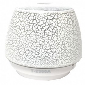 Portable USB FM Radio Bluethooth Speaker with LED transition button and loud bass In Gray