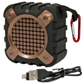 SH-220 Wireless Speaker In Gold