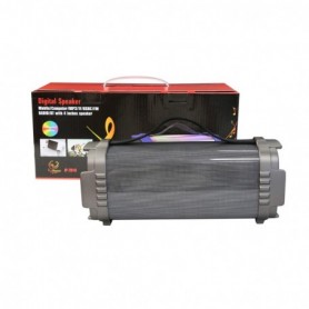 Digital Speaker In Gray