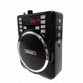 Portable PA System Speaker In Black