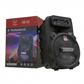 SH-319 8' Professional Speaker
