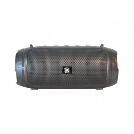 Portable USB FM Radio Bluethooth Speaker Music Player with LED lights and strap In Gray