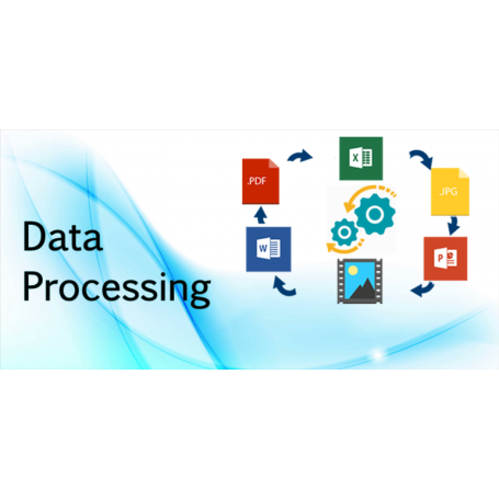 Computer System Maintenance + Data Processing - Periodically