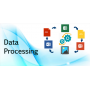 Computer System Maintenance + Data Processing - Periodically