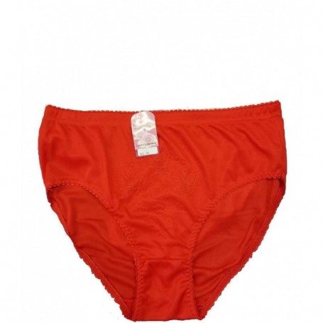 Women's Plus Size Panty (36/144/c)
