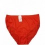 Women's Plus Size Panty (36/144/c)