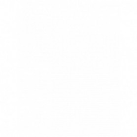 Plain Insoles (36/144/c)