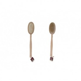 16.5" Wood Brush &Massager in 1 (12/144/c)