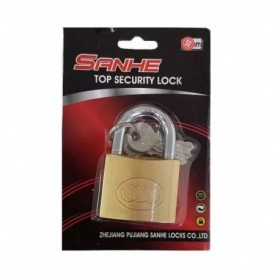 2"/50mm Padlock (24/120/c)