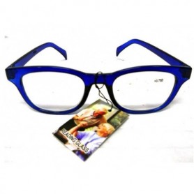 Plastic Reading Glasses