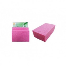 2 pc Cellulose Sponge Set (72/c)