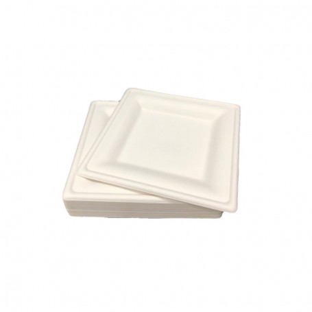 50 ct 10-1/4" Sugarcane Square Plates (5/c)