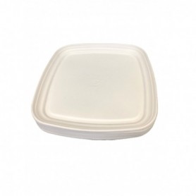 25 pc 16" Sugarcane Tray (4/c)