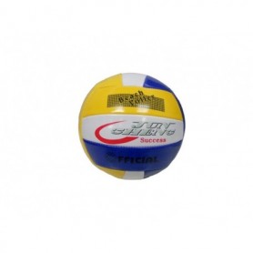 8" Volleyball (12/100/c)