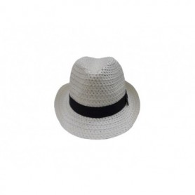 Men's Fiber Mesh Fedora Hat (24/120/c)