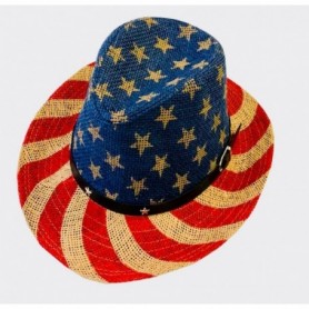 Fedora Hat America Flag (24/120/c)