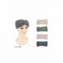 Winter Headband (12/360/c)