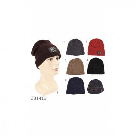 Men's Winter Hat (12/144/c)