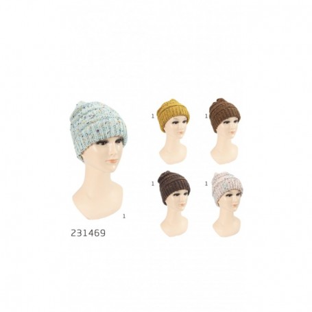 Woman's Winter Hat (12/144/c)