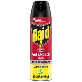 Raid Ant & Roach killer 17.5oz (12/12/c)